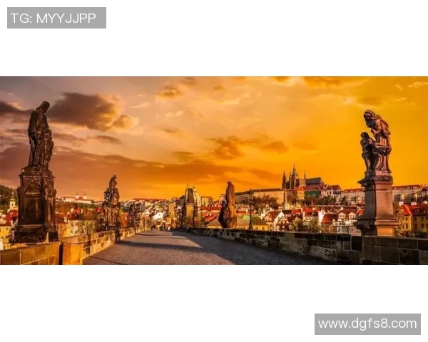 布莱克尼的魅力探索：揭开这座城市的历史与文化之美