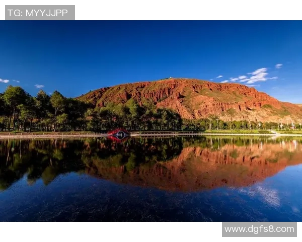 李强专访揭秘和平精英成功背后的策略与创新之路